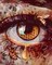 Diamond Art Painting Kit for Adults – DIY 5D Round Full Drill Eye Art, Relaxing Craft & Home Wall Décor (11.8 × 15.8 Inches)